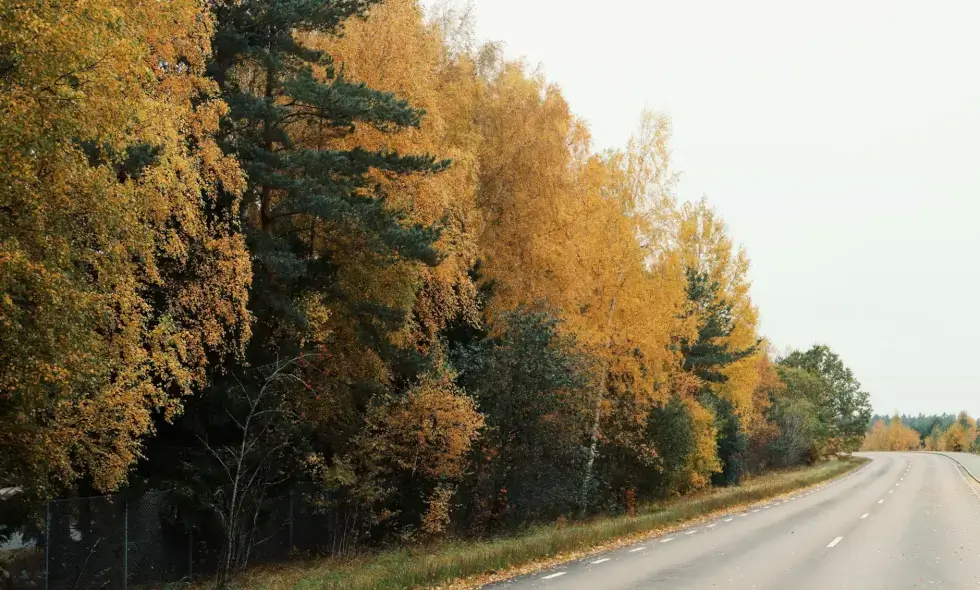 Kladno apylinkėse vėlavo pasibaigti didelis D6 vinjetės atnaujinimas.