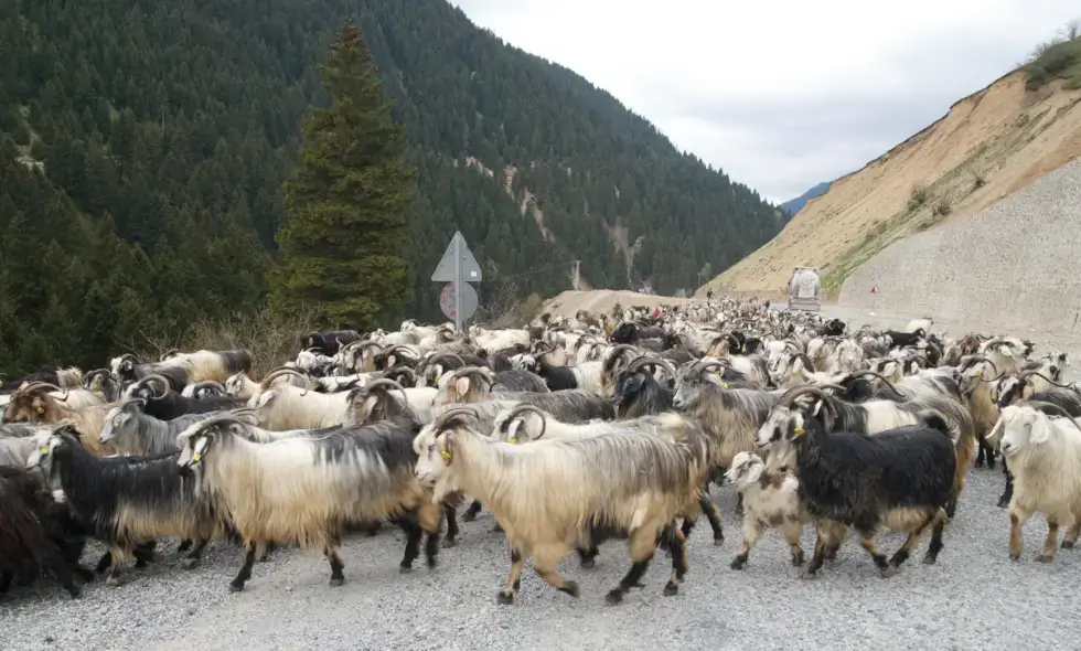 Výstavba diaľnice Sibiu-Făgăraș sa začína.