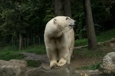 Çekya’da otoyolda seyahat etme imkanları vinyet ile